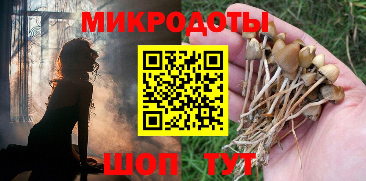 Галлюциногенные грибы Psilocybine cubensis Железноводск