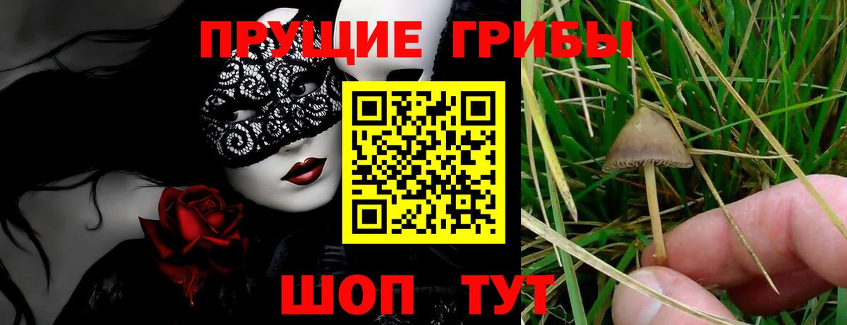 Галлюциногенные грибы мицелий  Вход с VPN  где продают наркотики  Железноводск 